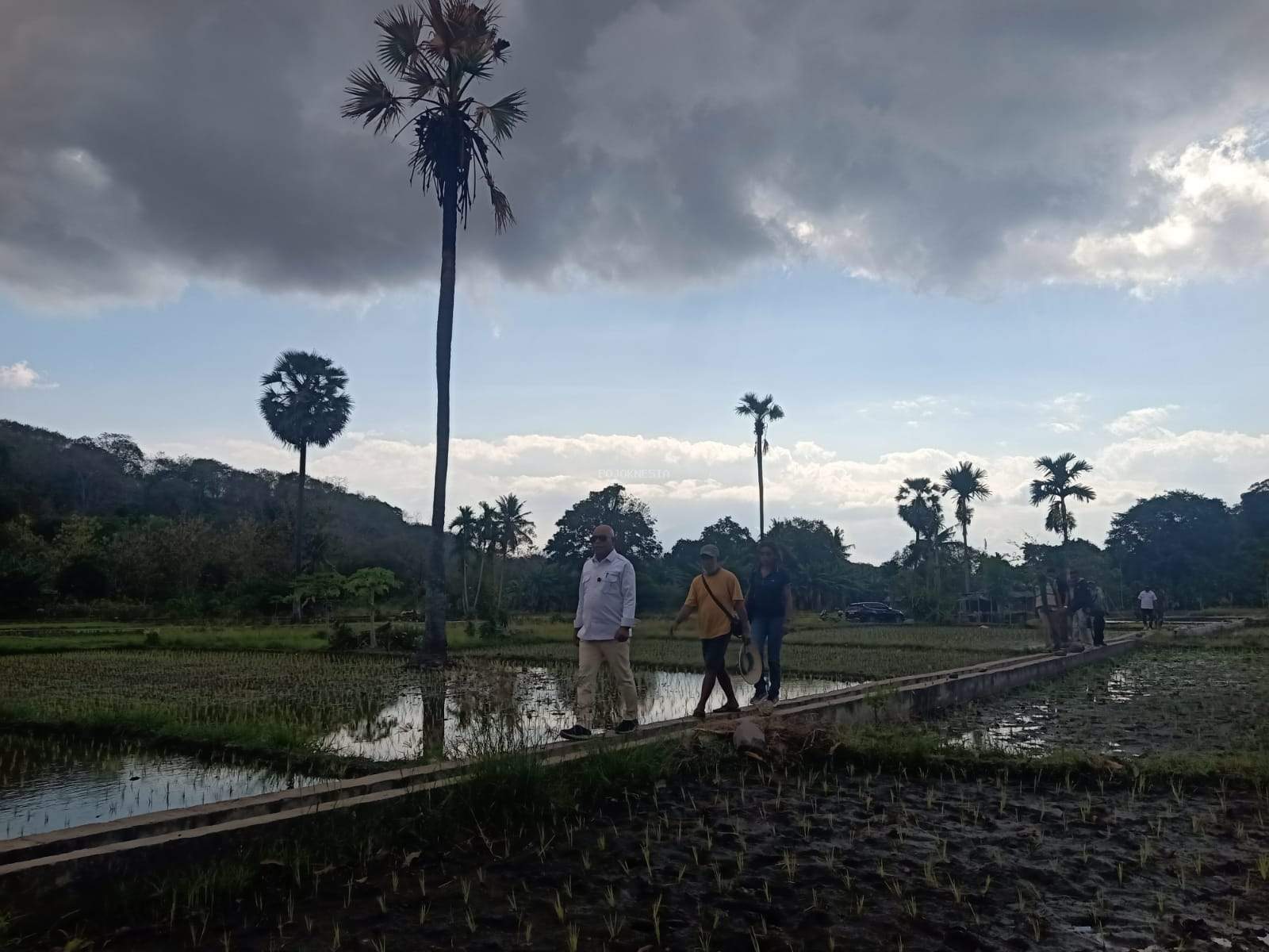 Dorong Produktivitas Sawah, Bupati Lembata Tinjau Irigasi Waikomo